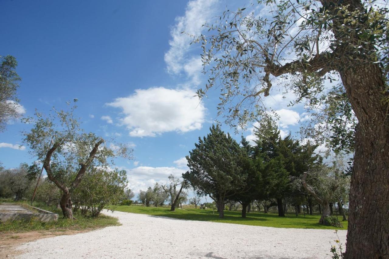 Gli Ulivi Di Gino Bed & Breakfast Sanarica Dış mekan fotoğraf