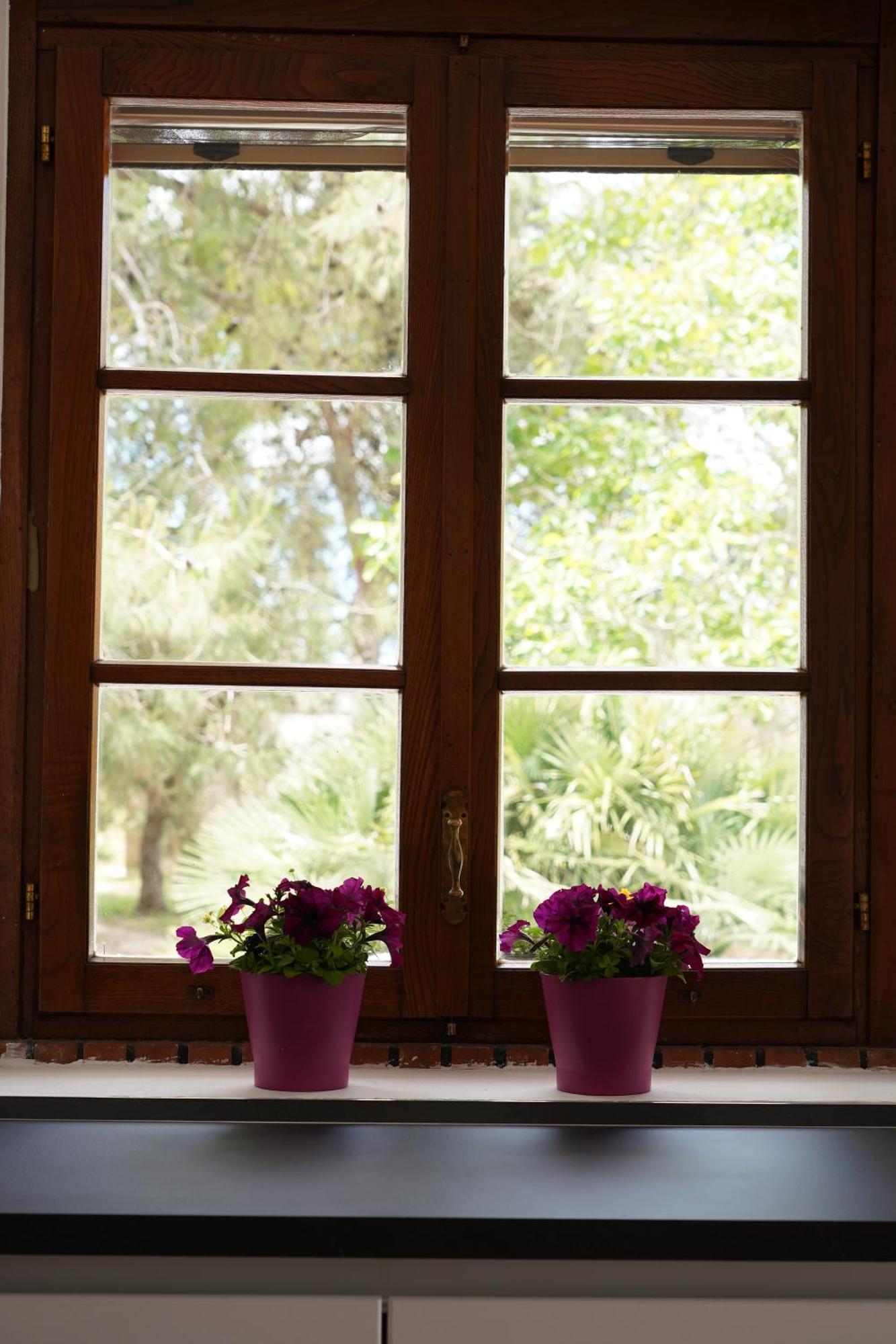 Gli Ulivi Di Gino Bed & Breakfast Sanarica Dış mekan fotoğraf