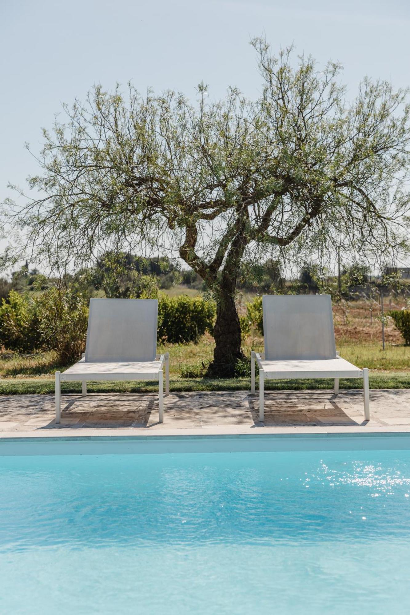 Gli Ulivi Di Gino Bed & Breakfast Sanarica Dış mekan fotoğraf